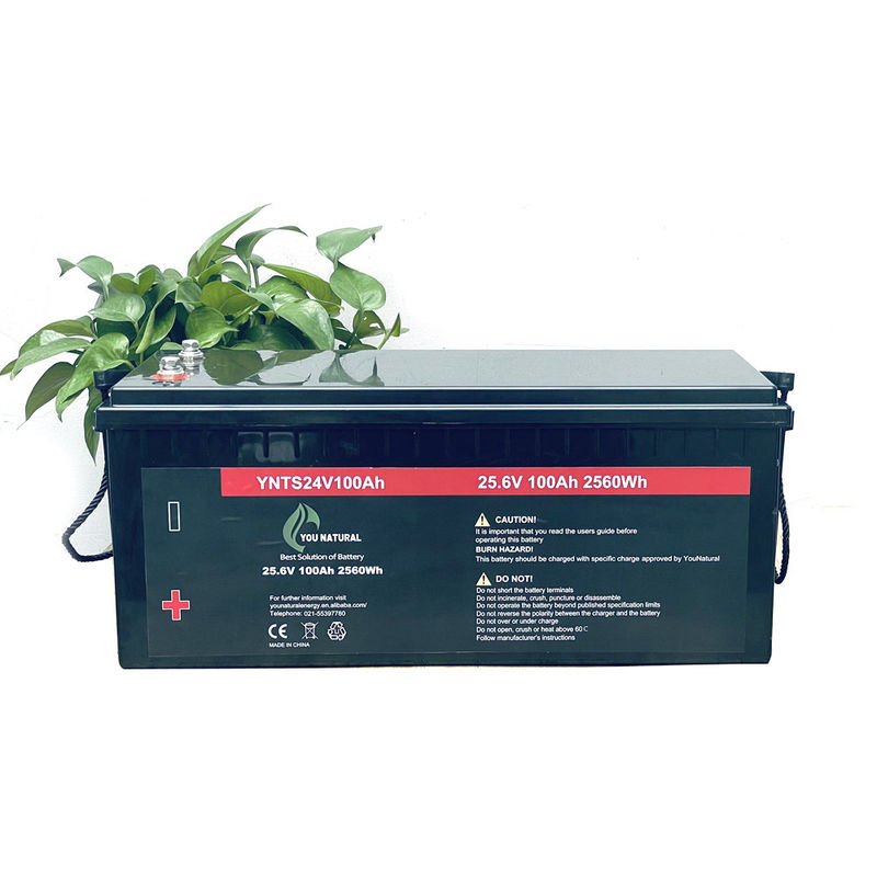 Zyklen 24V LiFePo4 Batterie-3000 fahren lang wieder aufladbares Lithium Ion Batteries des Leben-2560wh 100ah rad