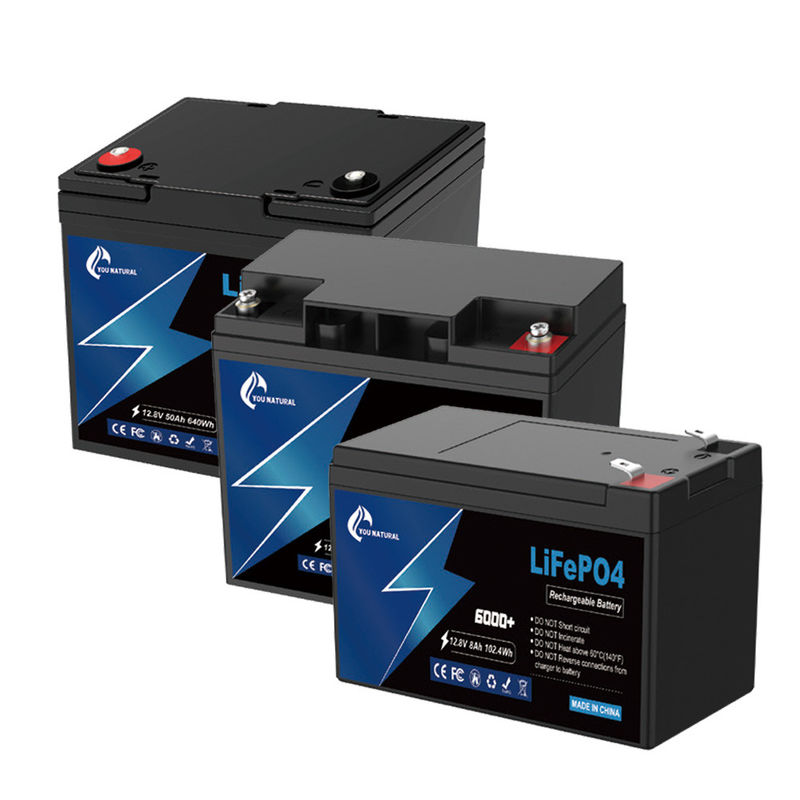 12V Lithium-Ionen-Eisenphosphat-Lifepo4-Batterie 6ah 8ah 23ah 295Wh für Golfwagen